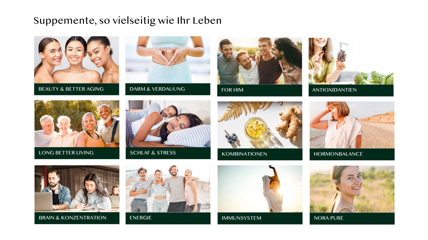 slides_kategorien